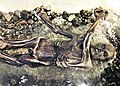 Ötzi