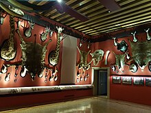 Museo di storia naturale (Venedig) Jagdtrophäen 1.jpg