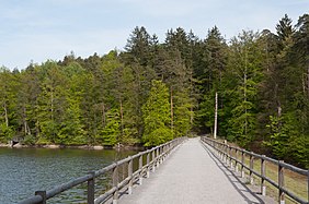 Deutsch: Fußweg über den Damm des Neuen Sees, Naturschutzgebiet Rotwildpark, Stuttgart. English: Path over the dam of the lake "Neuer See", natural reserve "Rotwildpark", Stuttgart, Germany.