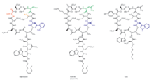 Figure 8. Structures of lipopeptide antibiotics Colors highlight the positions in daptomycin that have been modified by genetic engineering, as well as the origins of modules or subunits from A54145 or calcium-dependent antibiotic (CDA). Nbt1265-F2.png