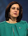 Seçilmiş Temsilci Malliotakis