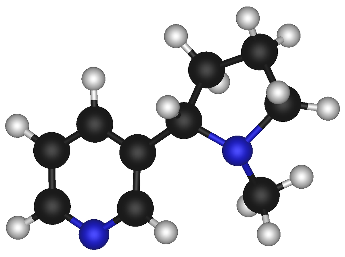 structure salt the â€“ Wikipedia Nikotin