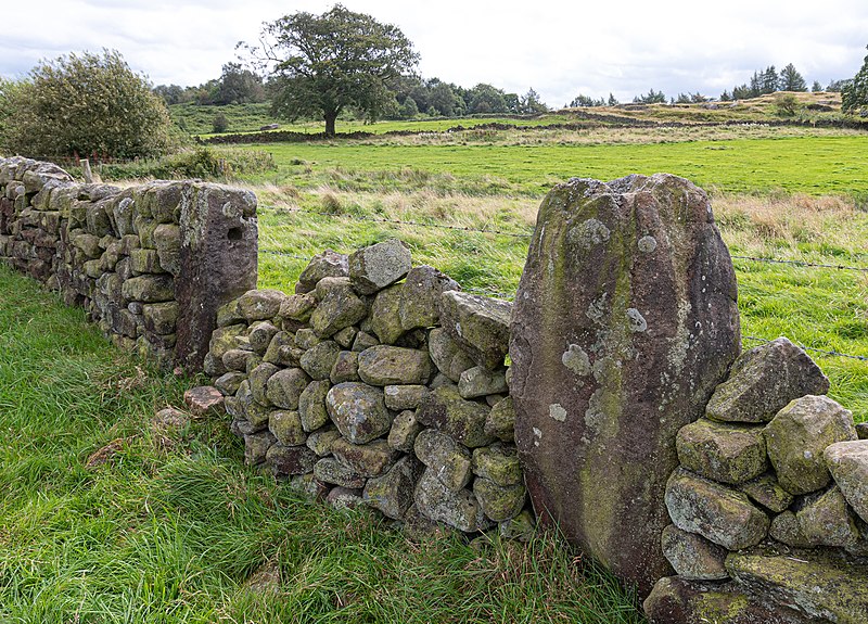 File:Nine Stones Close, Derbyshire; removed upright in field gate.jpg