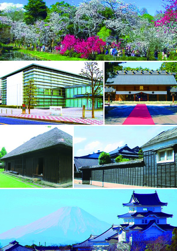 Shimizu Park Kikkoman head office Sakuragi Jinja Hananoi house Kinoene Soy Sauce head office Sekiyado Castle & Mount Fuji