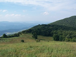 Nelson Sods on North Fork Mountain, West Virginia North Fork Mountain - Nelson Sods.jpg