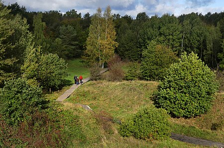 Ober Olmer Wald 15 Totale mit seitlicher Sonne