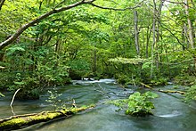 奥入瀬渓流（青森県十和田市）