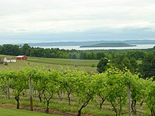 View from entrance of Chateau Chantal