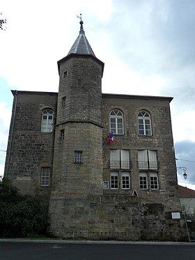 Image illustrative de l’article Château de Darney