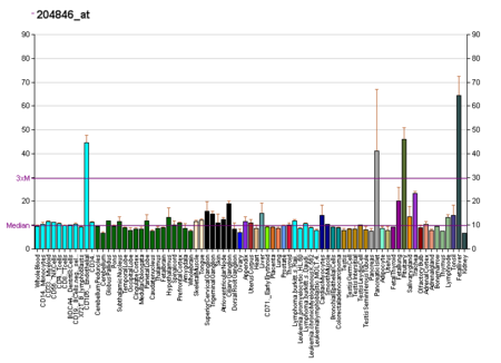 PBB GE CP 204846 at fs.png