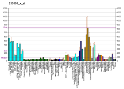 PBB GE SH3GLB1 210101 x ב- fs.png