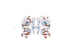 PDB 1mox EBI.jpg