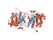 PDB 2afm EBI.jpg