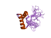 2do5: Solution structure of the SAP domain of human splicing factor 3B subunit 2