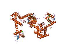 PDB 2hyf EBI.jpg