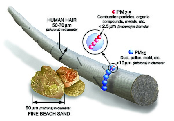 PM2.5 and PM10 compared with a human hair in a graphic from the Environmental Protection Agency