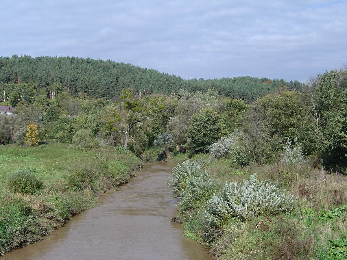 Приток куры 5 букв на а. Река Оса. Река Рокша. Кур (приток Тускари).