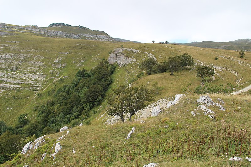 File:Panoramic View near Le Reculet - panoramio (5).jpg