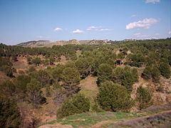 Parc naturel protégé de les Cerros à Alcalá de Henares (Communauté de Madrid)