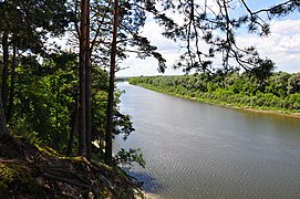 Над Десною. Сумська область