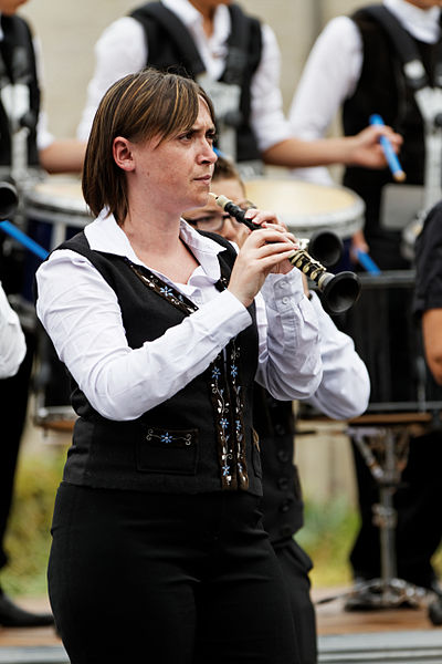 File:Photo - Festival de Cornouaille 2013 - Championnat national de bagadoù de 3e catégorie le 27 juillet - 004.jpg