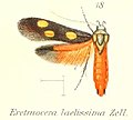 09:30, 20 iraila 2013 bertsioaren iruditxoa