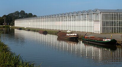 Kassen aan de Wateringseweg