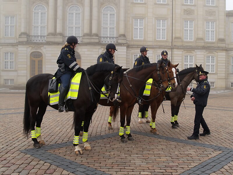 Fil:Police horses.jpg