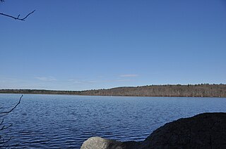 <span class="mw-page-title-main">Ponkapoag Pond</span> Body of water