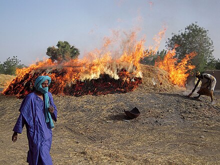 440px-Pottery_firing_Mali.jpg