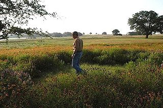 <span class="mw-page-title-main">Prairie Chapel Ranch</span> Ranch in Texas, United States