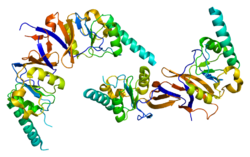 Ақуыз CCT3 PDB 1gml.png