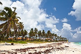 Strand in de buurt van Punta Cana