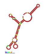 Listeria snRNA rli32: Predicted secondary structure taken from the Rfam database. Family RF01468.