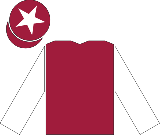 <span class="mw-page-title-main">Oh So Sharp</span> Irish-bred, British-trained Thoroughbred racehorse