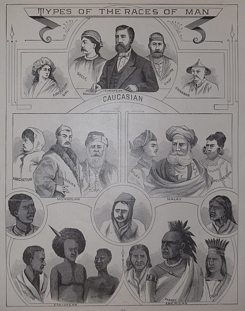 Engraving depicting what was considered "The Types of Races of Men" by the author.