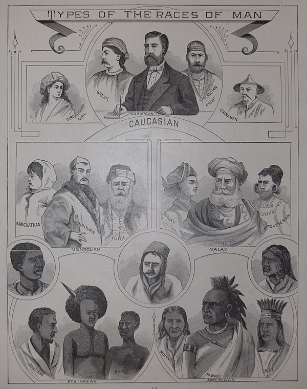 Engraving depicting what was considered "The Types of Races of Men" by the author.