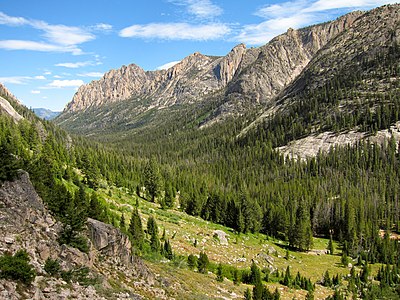 Valley covered in pine trees sweeping below rocky peaks