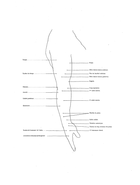 File:Richer - Anatomie artistique, 2 p. 94.png