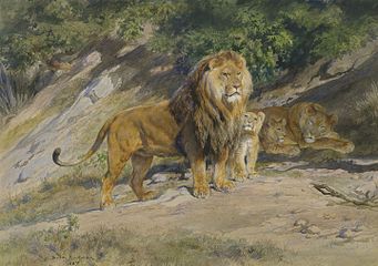 Lion en famille, 1887