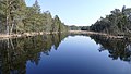 Deutsch: Entenweiher im Rotter Forst, Bayern