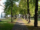 Rudower Strasse 56 (Berlin-Buckow) Allee.JPG