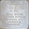 Salomon Hochmann, Seerobenstr. 6, Wiesbaden-Westend.jpg