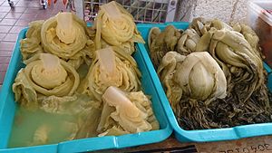 Sayur: Etimologi, Terminologi, Sejarah