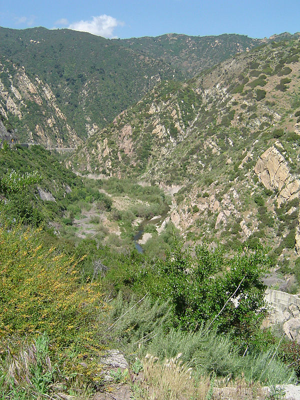 Southern coastal sage and chaparral in the Santa Monica Mountains, near Malibu.