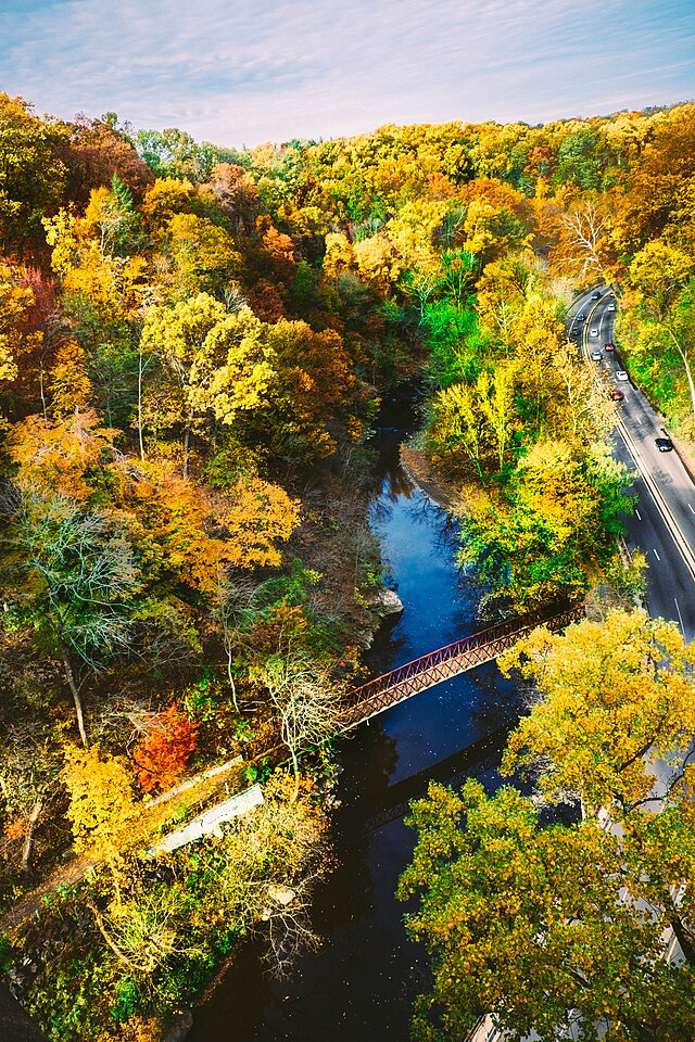 The Wissahickon's Forbidden Drive is the 2018 Pennsylvania Trail of the  Year - Curbed Philly
