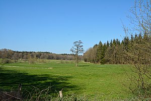 Schleswig-Holstein, Hohenlockstedt, FFH-Gebiet Rantzau-Tal NIK 2373.JPG