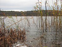 Schmiedegrundsee-29-11-2009-159