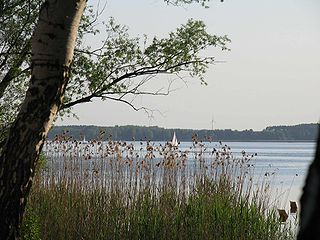 <span class="mw-page-title-main">Schwielochsee (lake)</span>