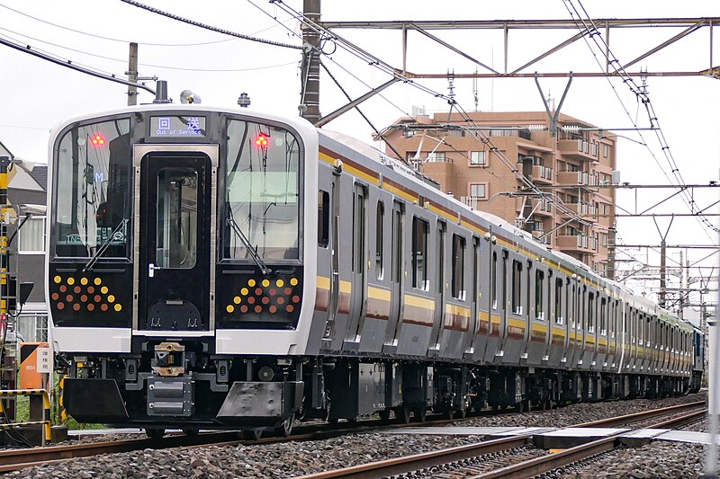 File:Series-E131-600 TN-5 Takasaki-line.jpg